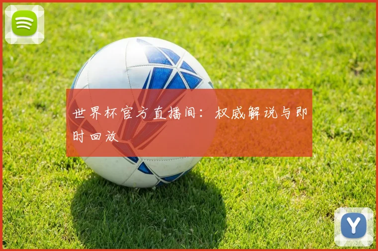 世界杯官方直播间：权威解说与即时回放