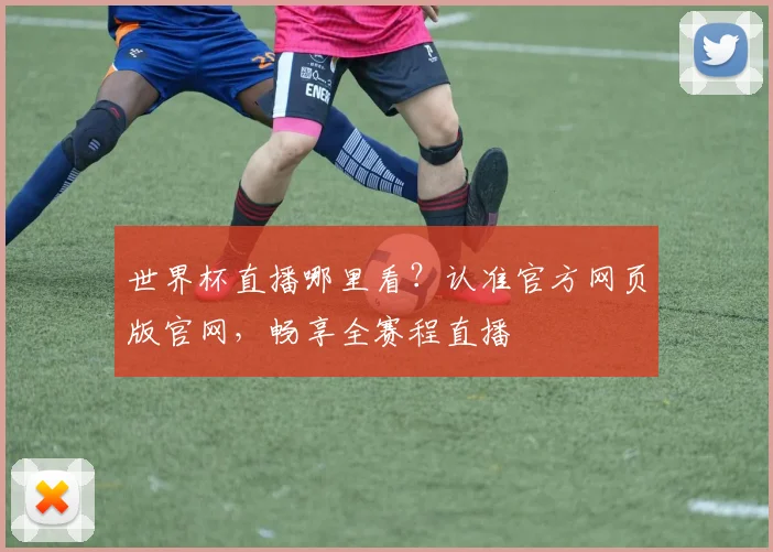 世界杯直播哪里看？认准官方网页版官网，畅享全赛程直播