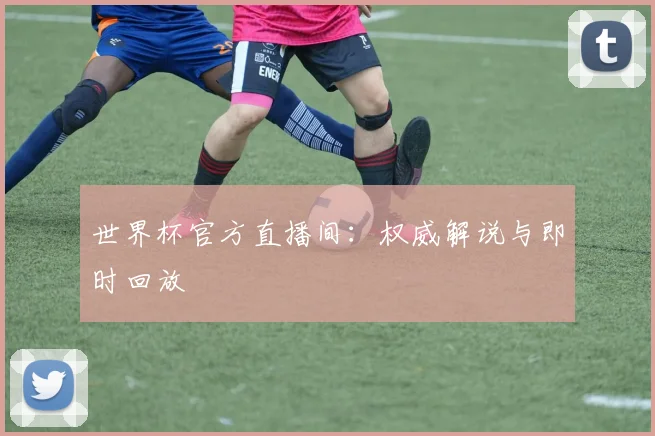 世界杯官方直播间：权威解说与即时回放
